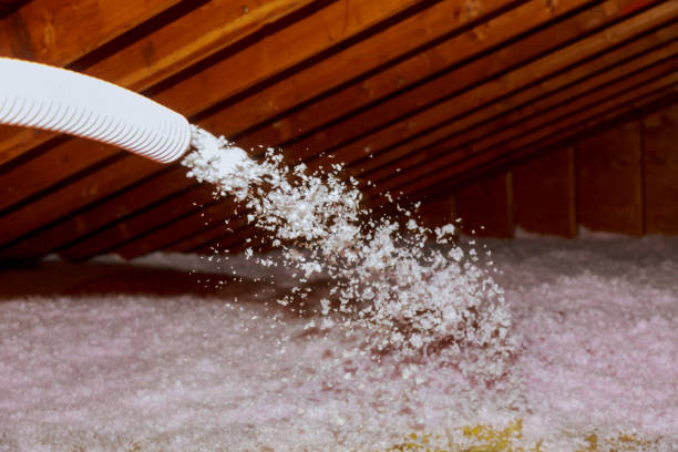 Best Fiberglass Insulation in Fountainebleau, FL