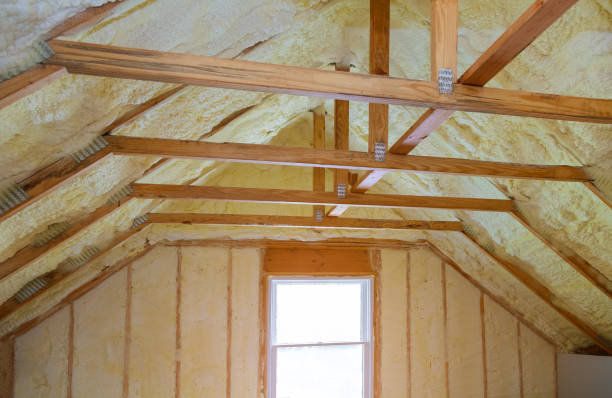 Best DIY Insulation Kits and Guidance in Fountainebleau, FL