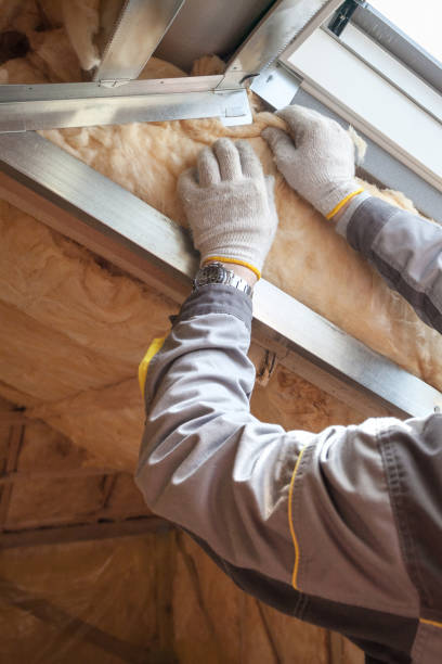 Best Energy Efficiency Insulation in Fountainebleau, FL