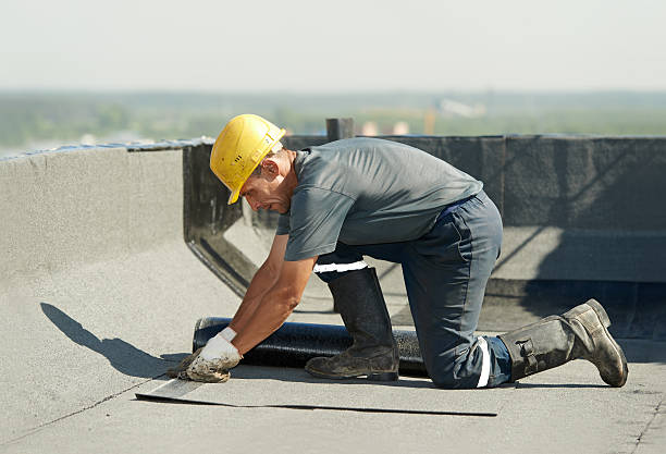 Best Insulation Maintenance and Repair in Fountainebleau, FL