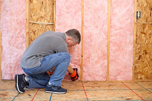 Best Blown-in Insulation in Fountainebleau, FL